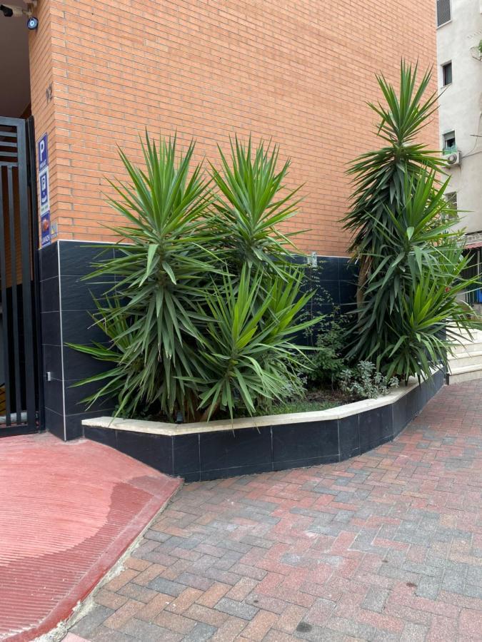 Nemis Apartments In The Centre Of Tirana Four Free Parking ภายนอก รูปภาพ