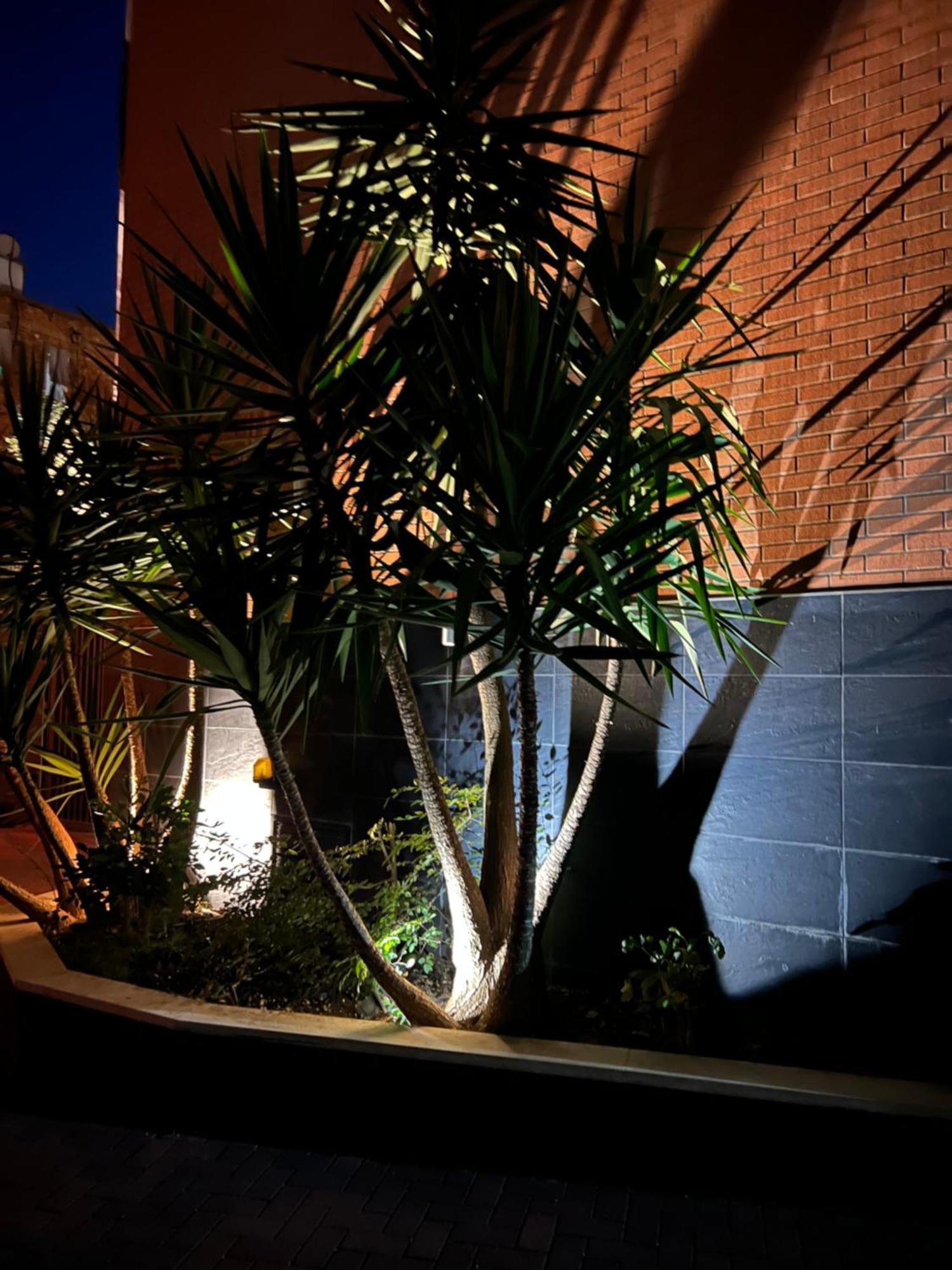 Nemis Apartments In The Centre Of Tirana Four Free Parking ภายนอก รูปภาพ