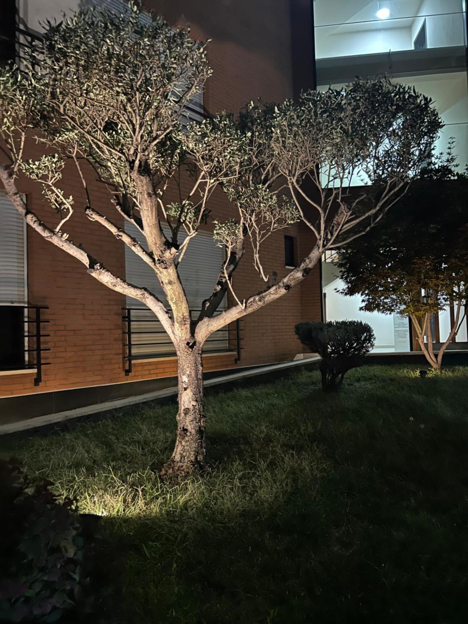 Nemis Apartments In The Centre Of Tirana Four Free Parking ภายนอก รูปภาพ